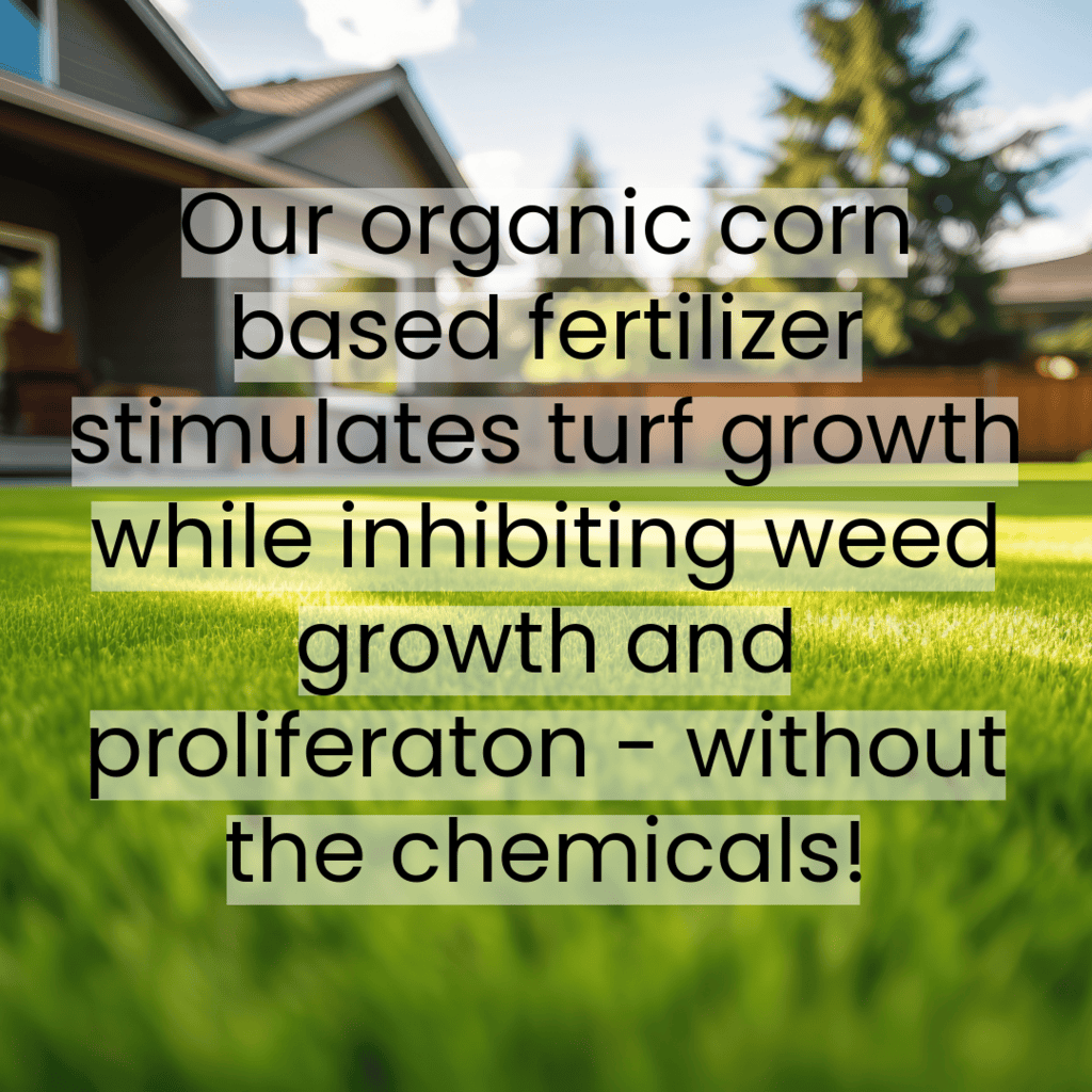 Corn Gluten Fertilizer and Herbicide Eco Solutions